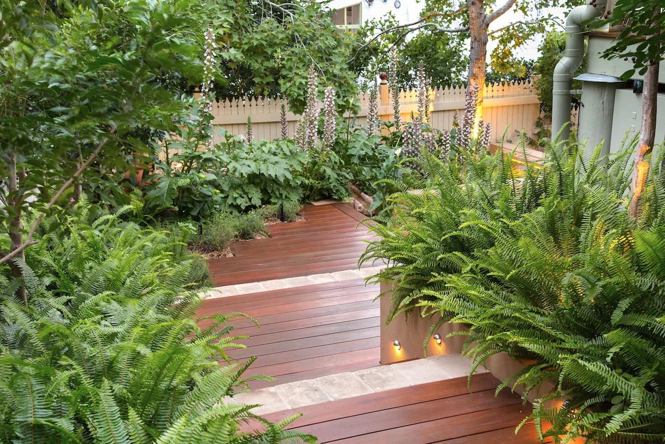 Courtyard-garden-5.jpg