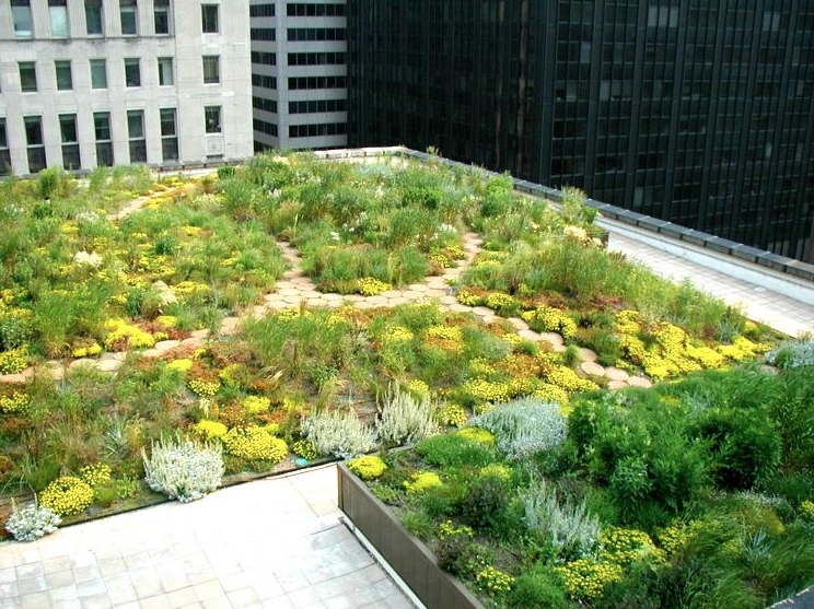Chicago City Hall Green Roof image via: greenroofs.com Cover your roof in plants to clean the air and naturally cool your building in summer. 