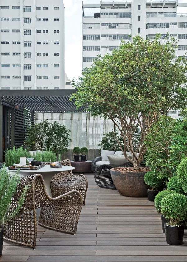 image via: denisebarretto.com.br A well-designed rooftop garden features shade, wind-tolerant plants and quality outdoor furniture. Choose sculptural plants and large pots for added visual appeal. 