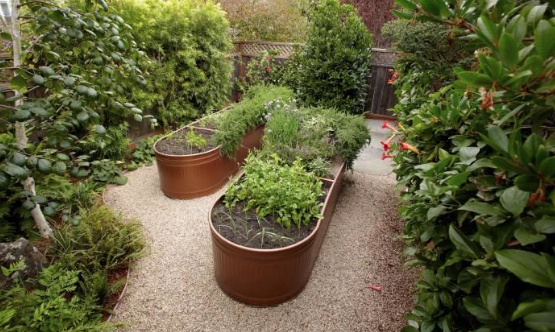 Photograph by Marla Aufmuth, via: gardenista