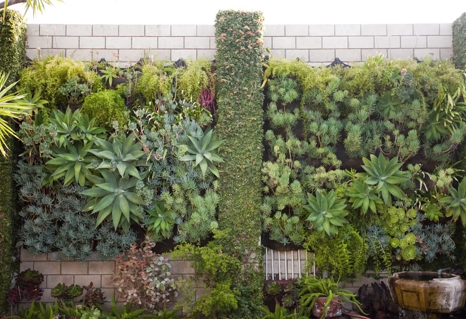 Image: SmogShoppe    The use of ivy between these vertical gardens hides hard surfaces to create a feeling of abundance.