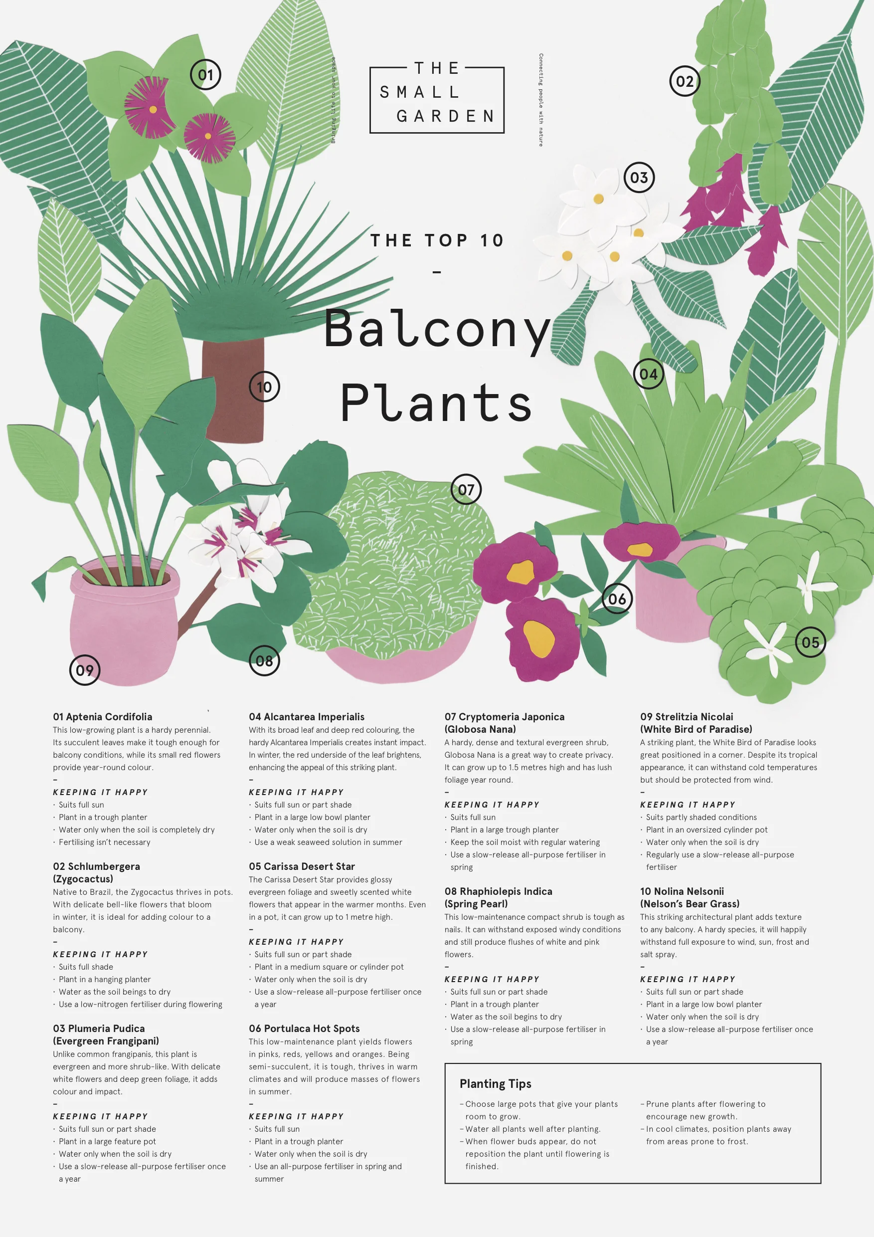 the-small-garden-top-10-balcony-plants