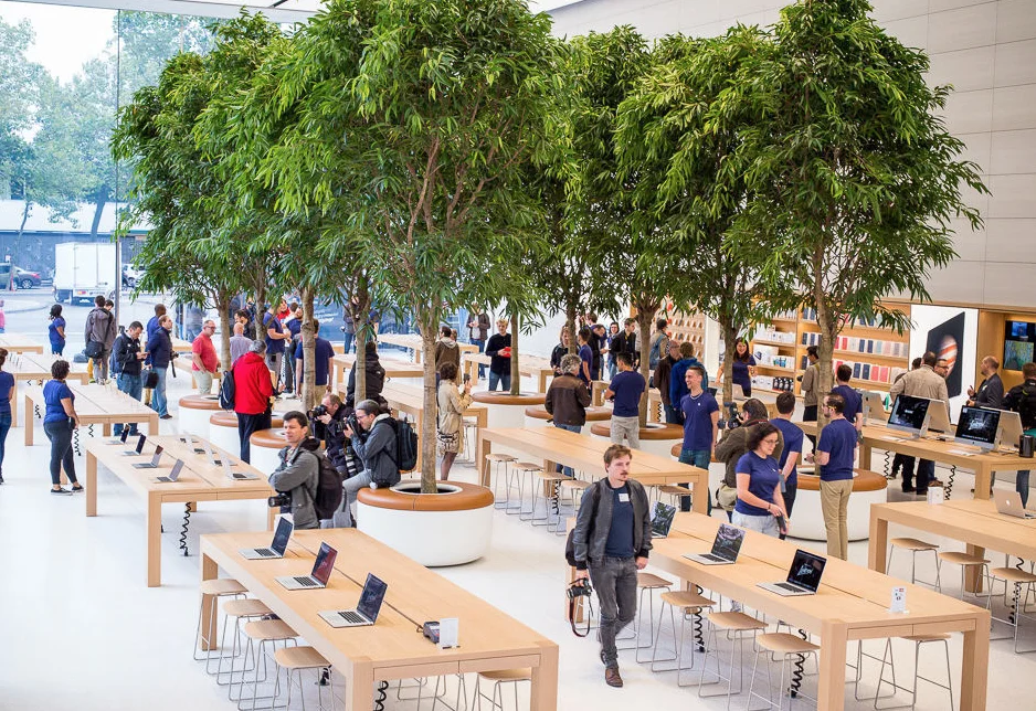 The Apple Store in Brussels features trees that are visible to people outside the store. The use of natural materials such as wood complements this biophilic approach to design. Image via Data News.