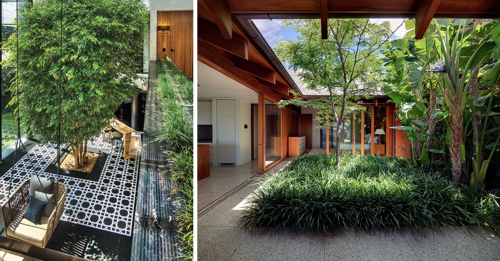 When outdoor space is limited, look indoors for ways to create a garden area in your home. Images via Architectural Digest Mexico and William Dangar.