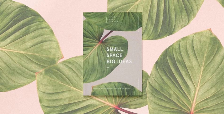ss.jpg