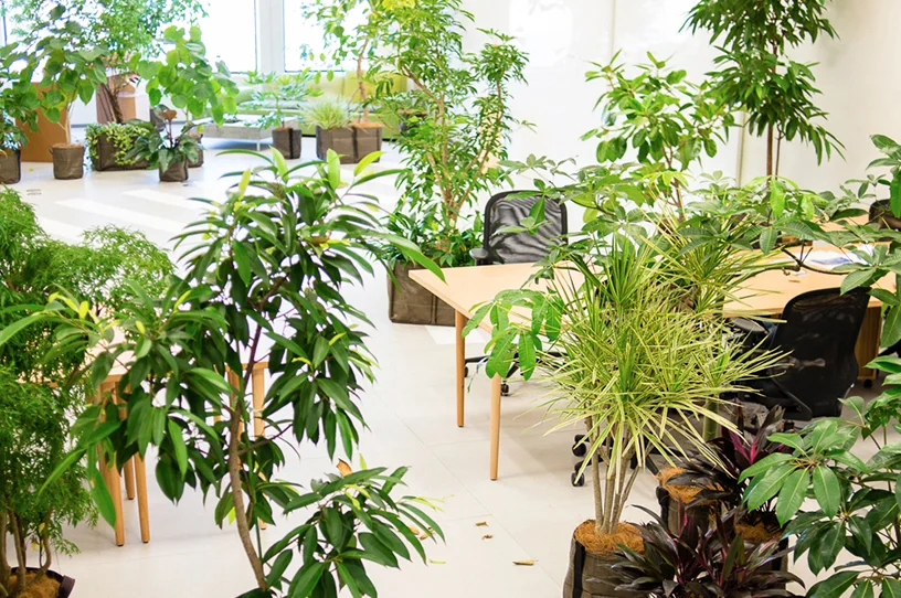 Image via designboom , photography by Toshikyuki Yano and Michael Feather