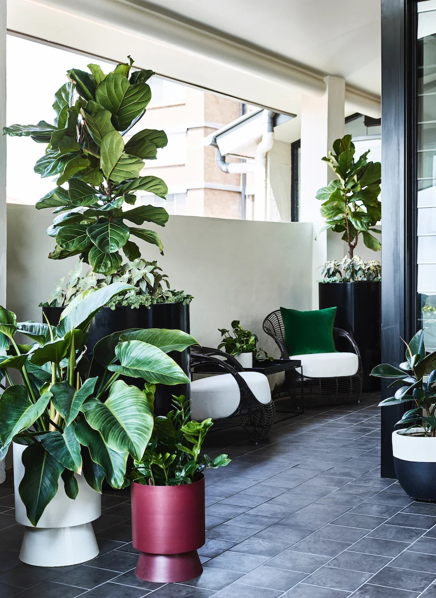 Design: Claire Stevens Interior Design & The Small Garden Photo: ©TobyScott