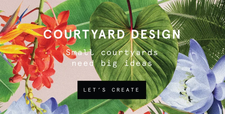 TSG-promo-2017-courtyard.jpg