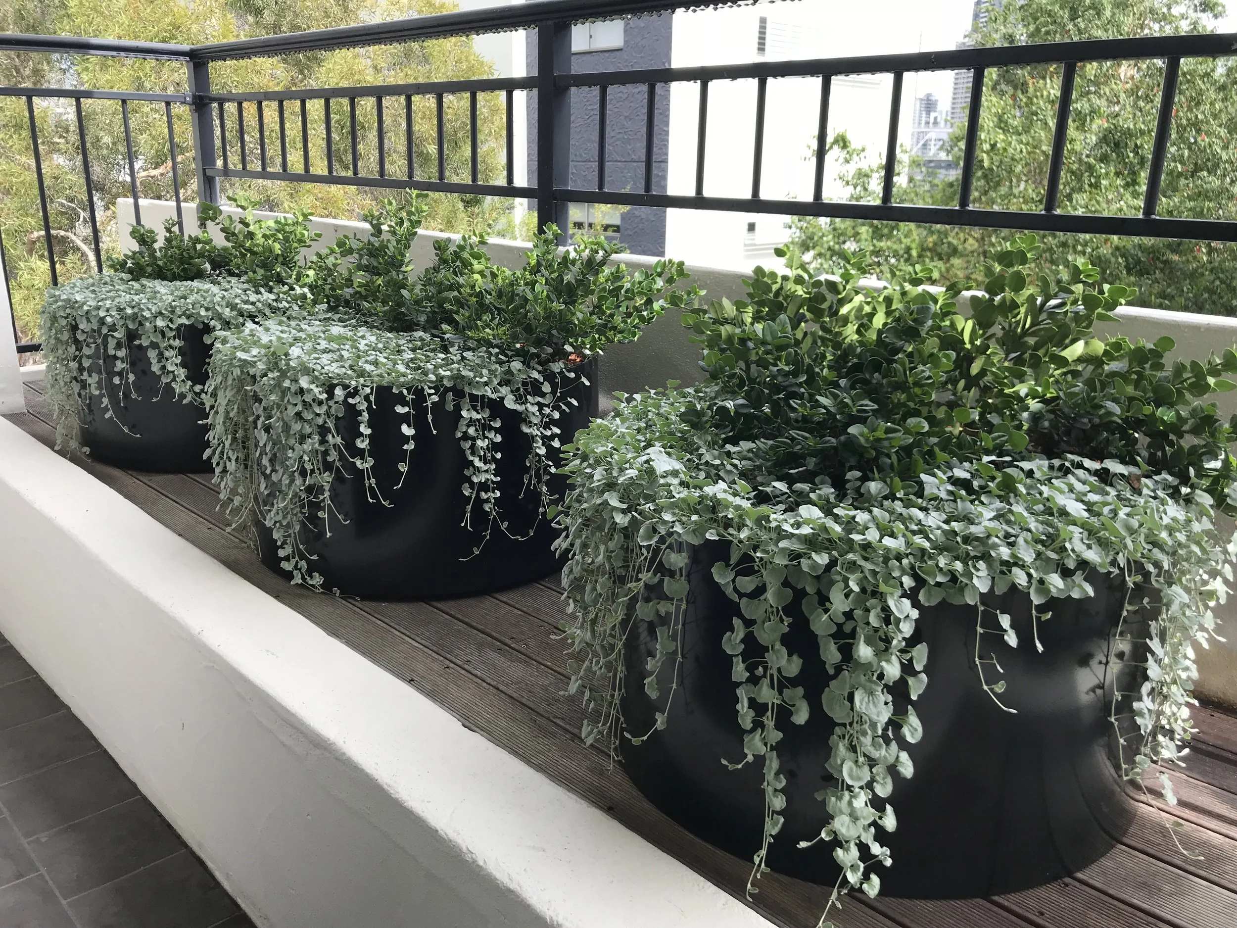 Small Garden Courtyard