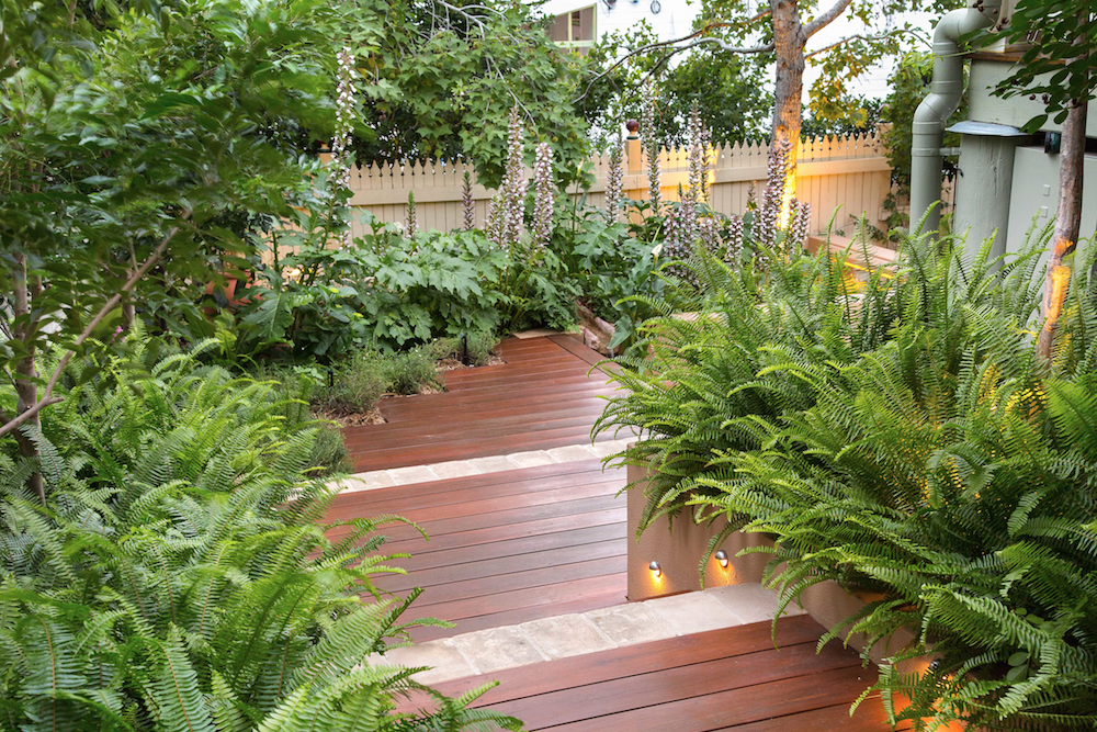 Courtyard-garden-5.jpg