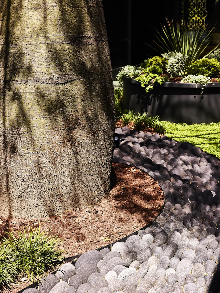 Landscape-designer-Brisbane-The-Small-Garden