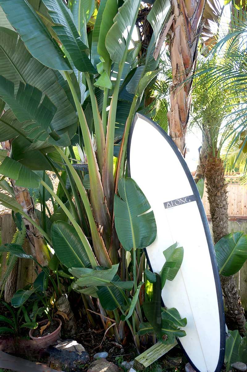 Along. Blend with Nature.