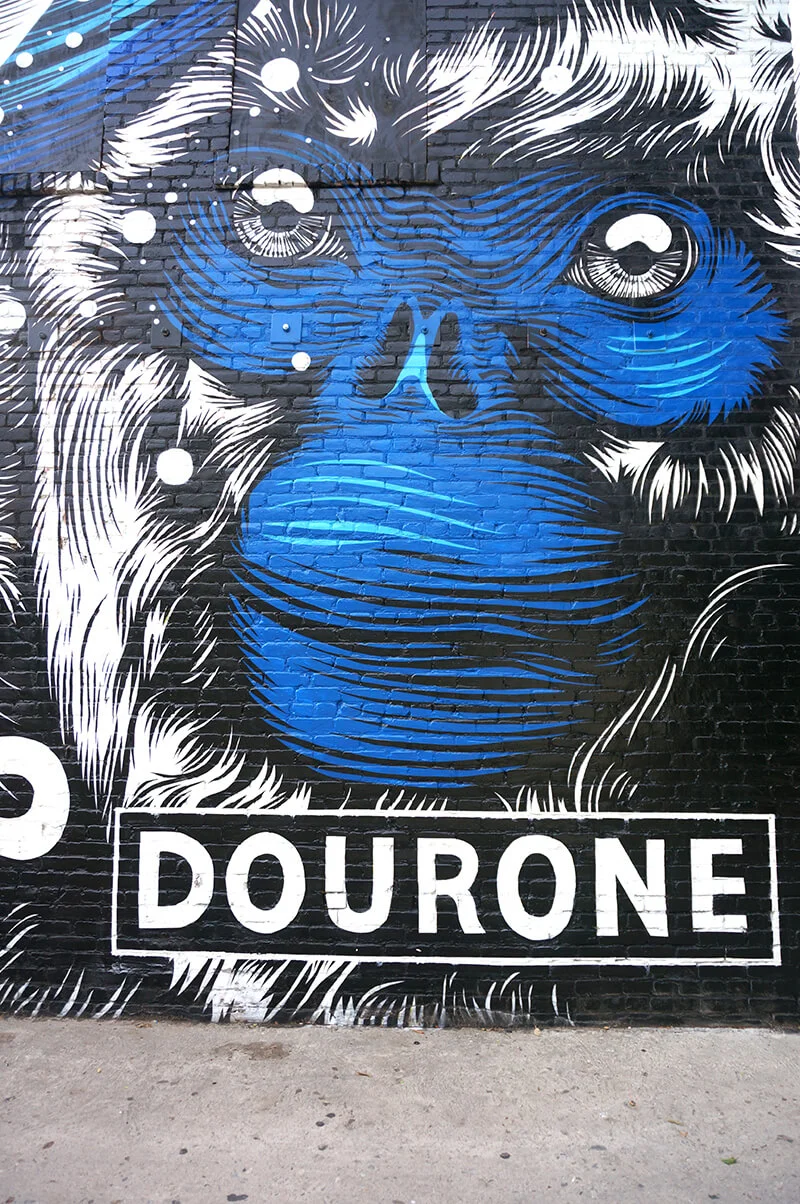 Dourone