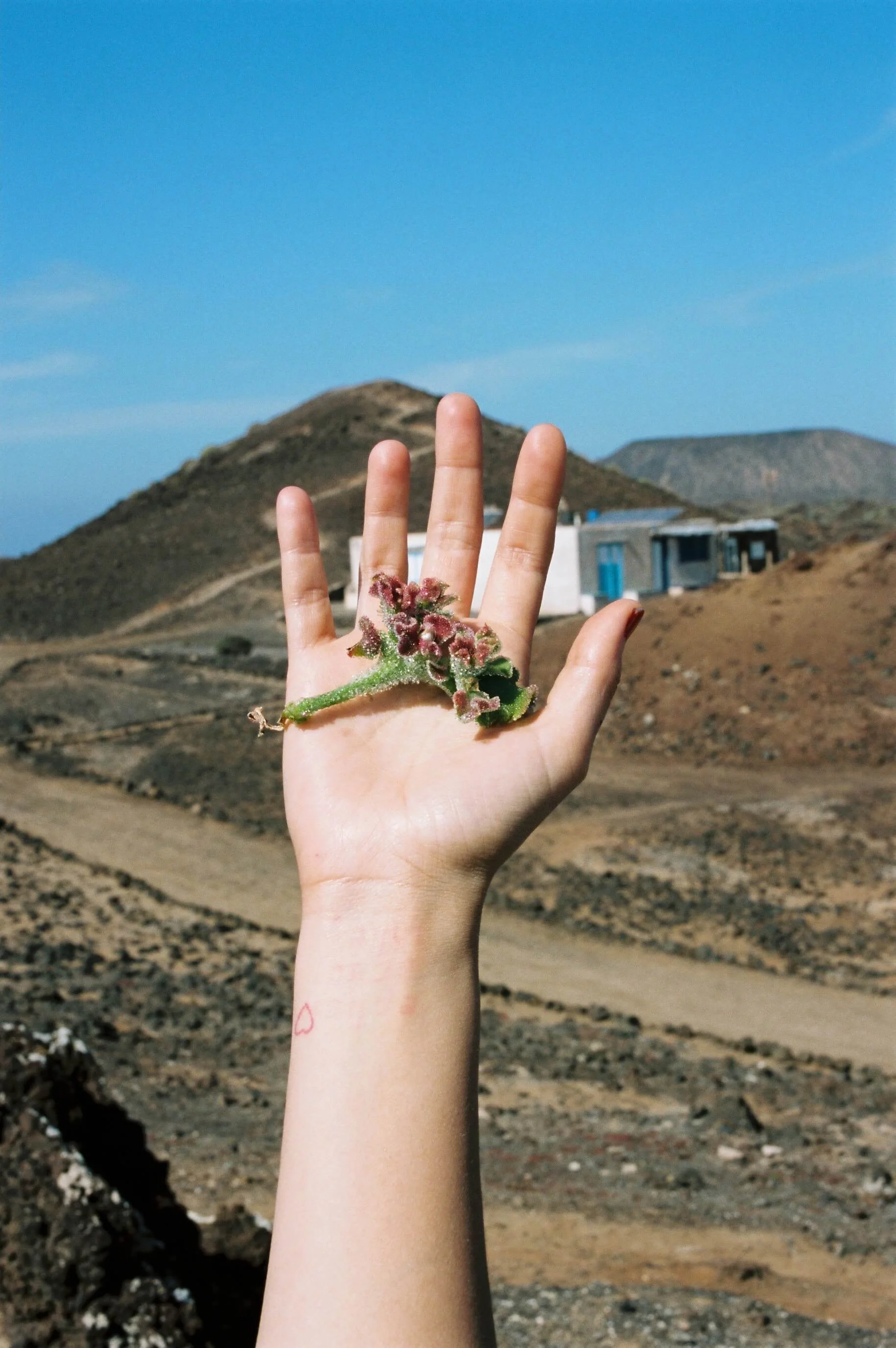 Lanzarote & Fuerteventura