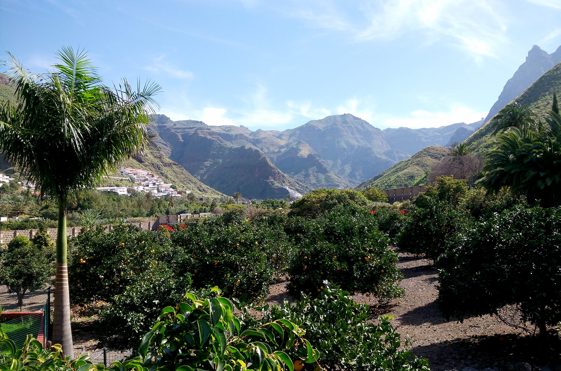 Las Longueras, Gran Canaria.