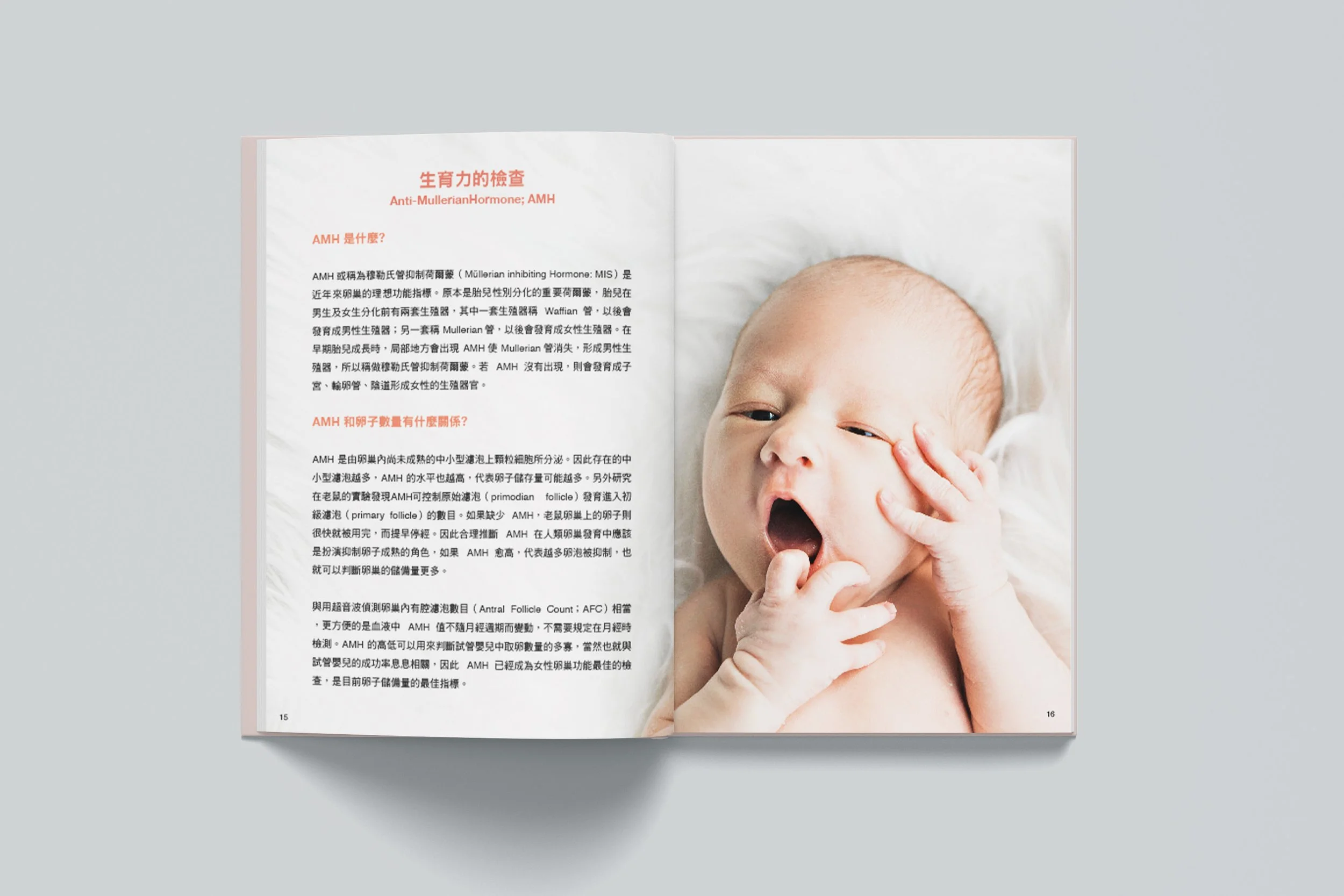 HY_book_08.jpg