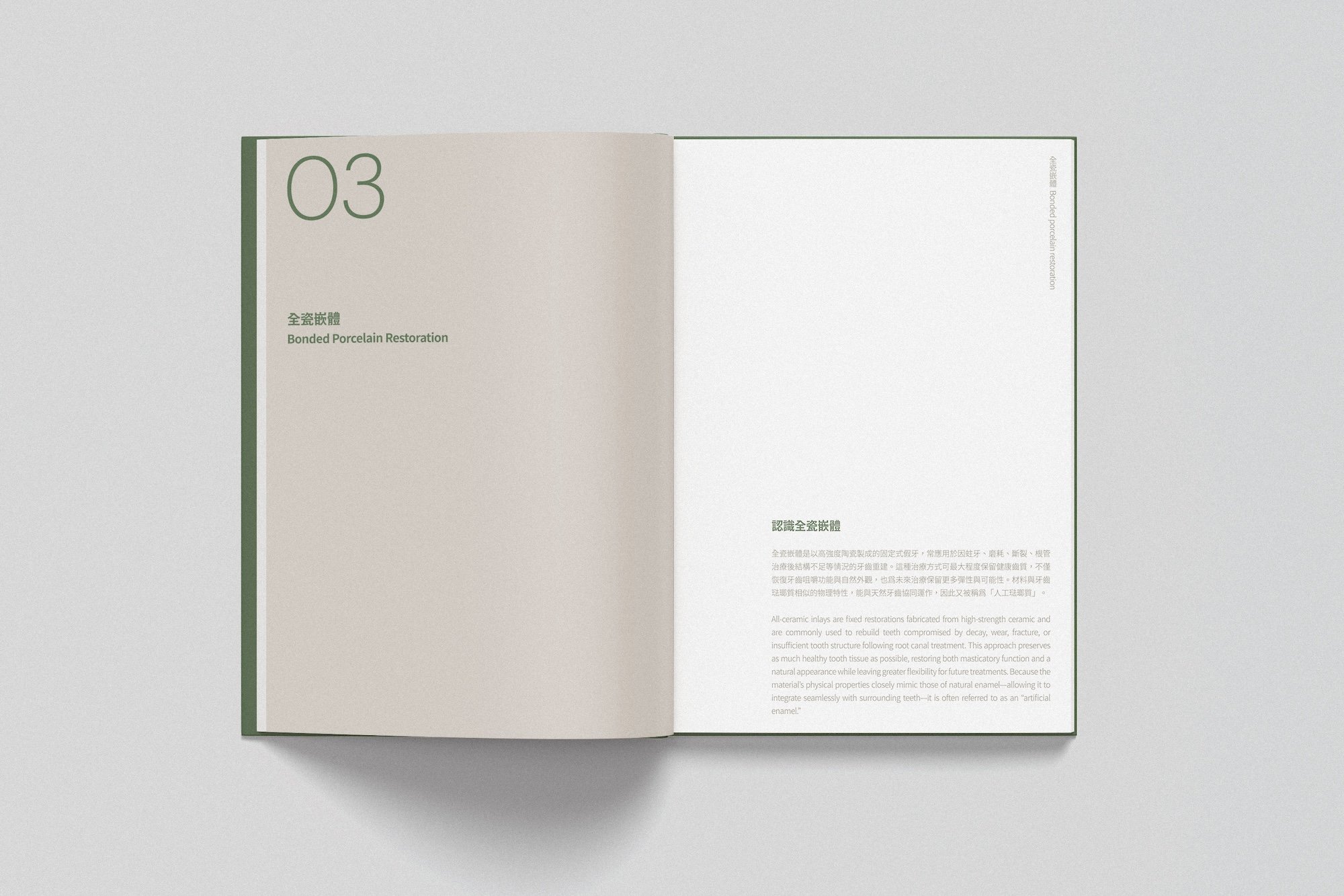 SG_book_3.jpg