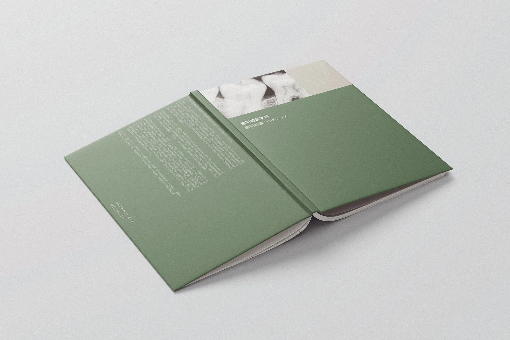 SG_book_6.jpg