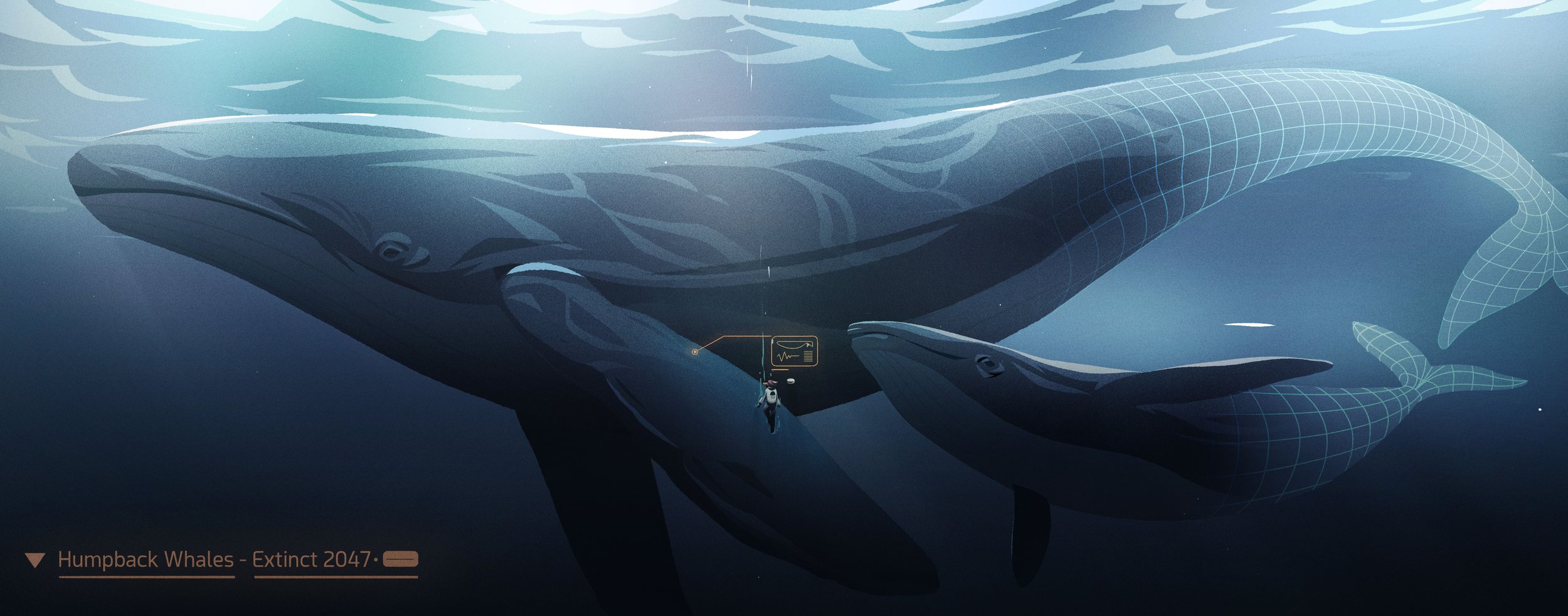 S0800_OceanDevelopment_C.jpg