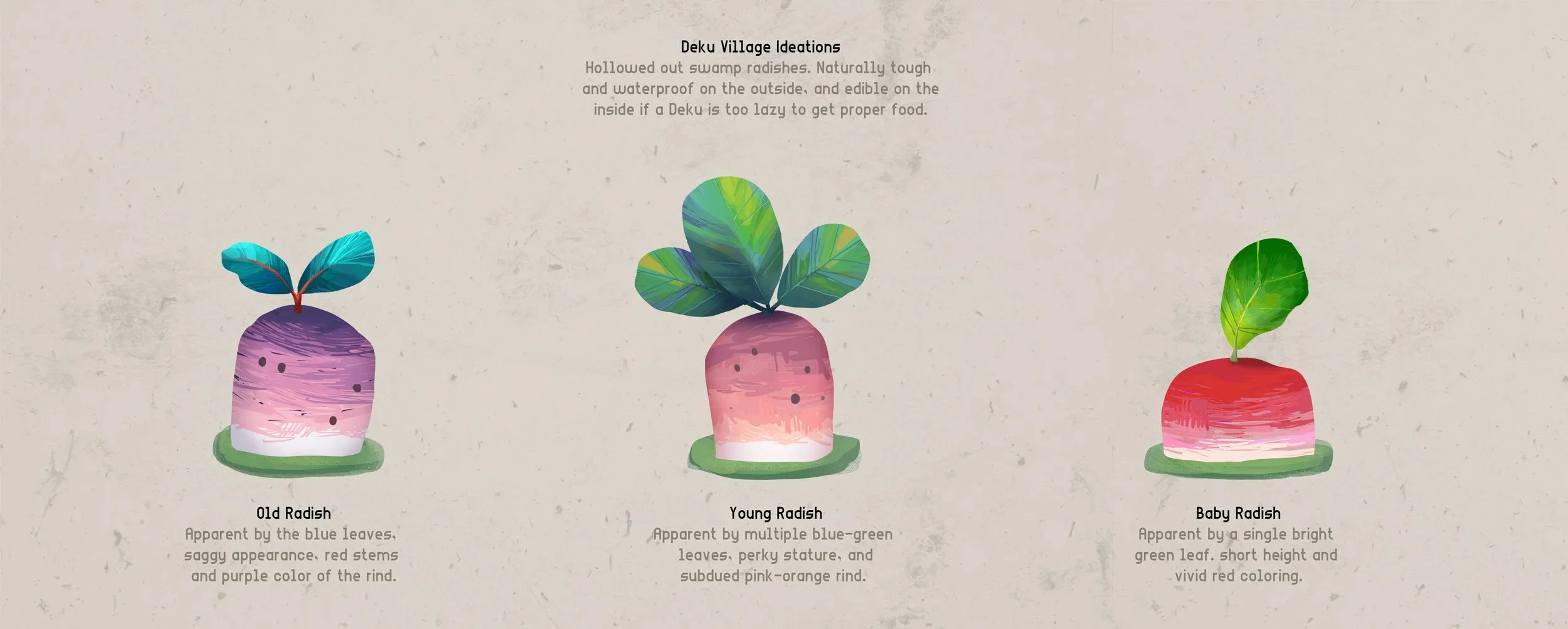 cchoi_radish.jpg
