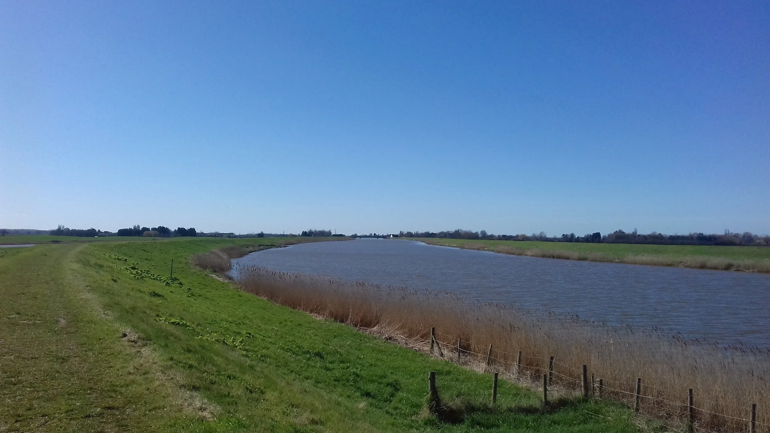 view.jpg