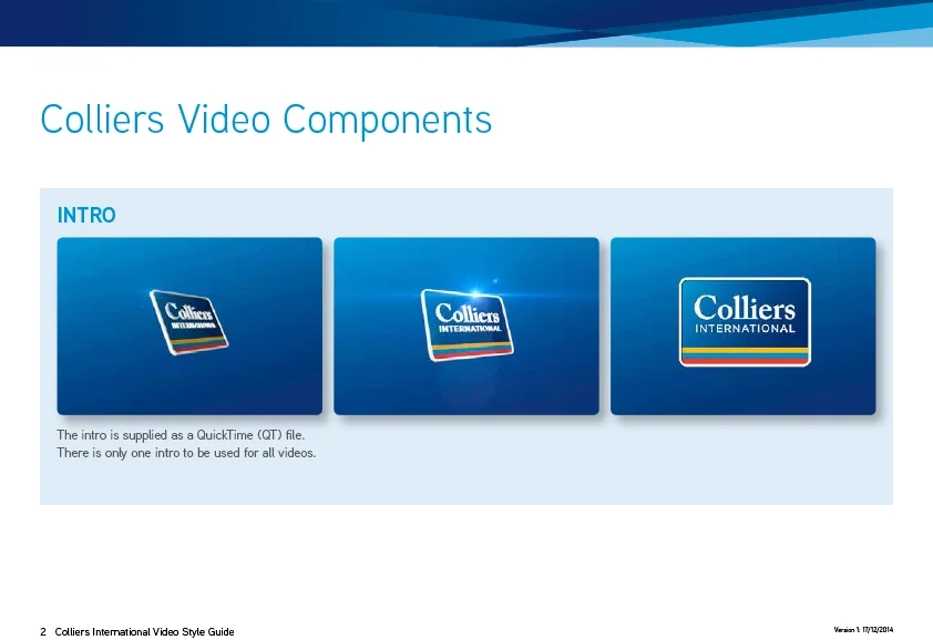 2D Video Animation Style Guide2.jpg