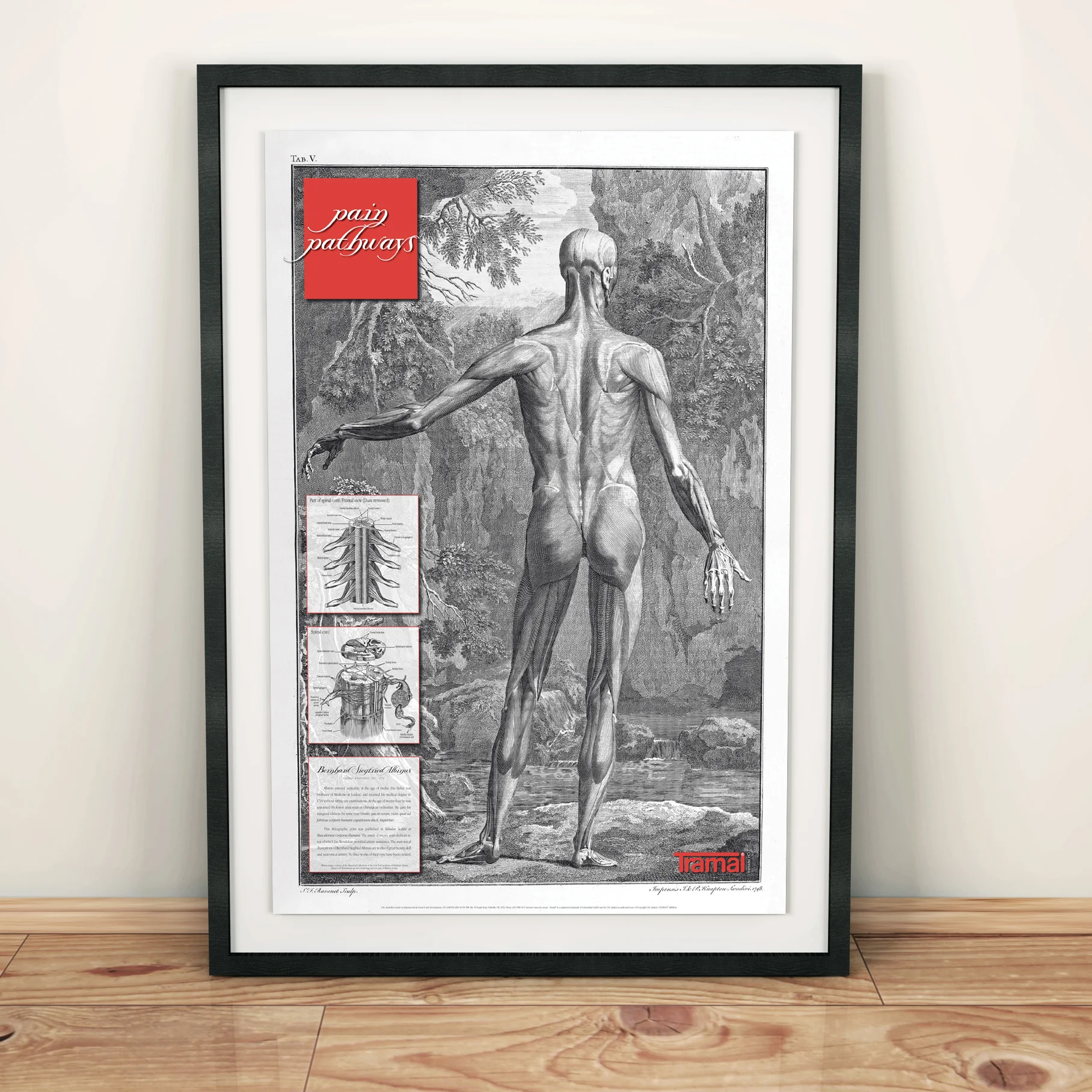 Tramal poster frame.jpg