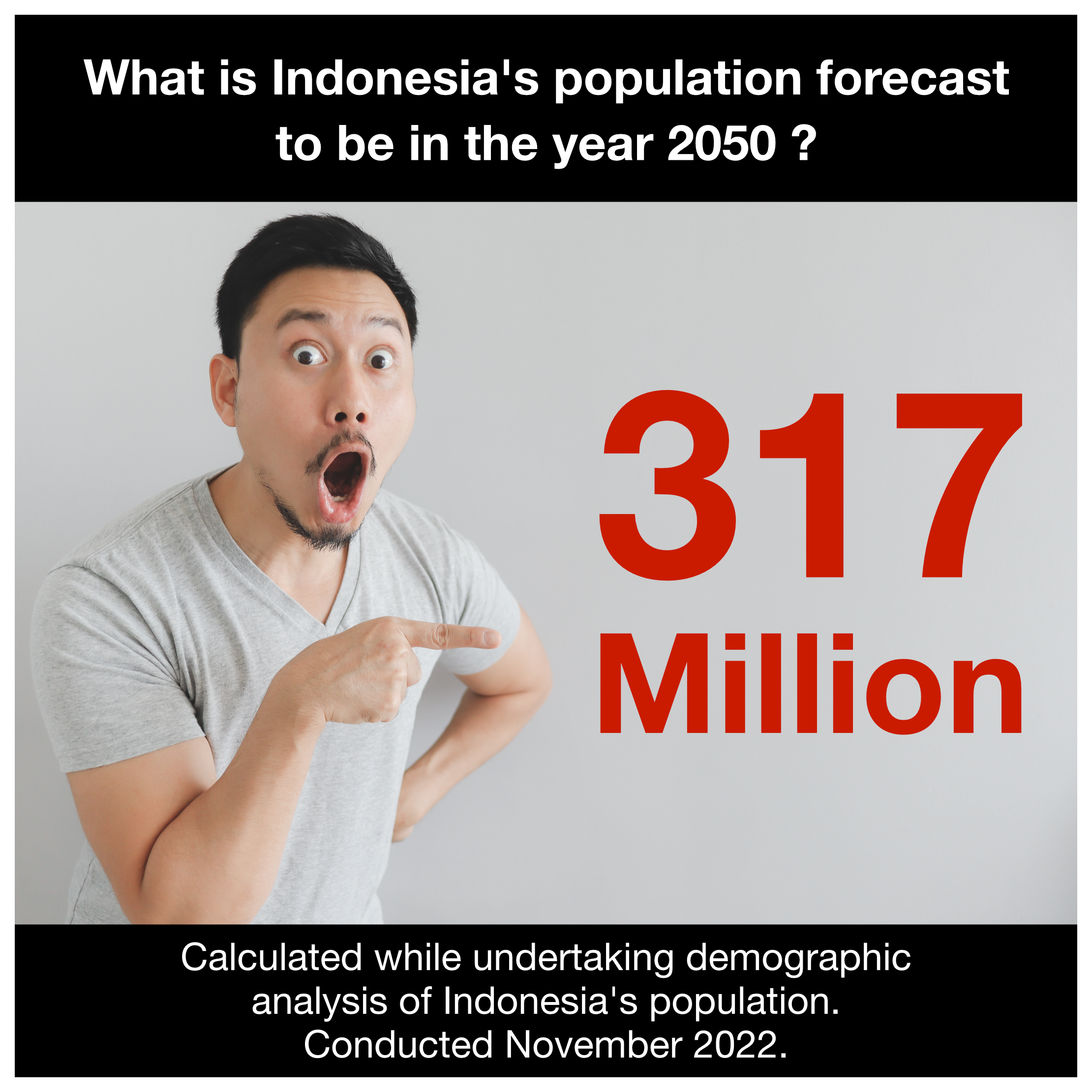 Demographic Research Indonesia.png