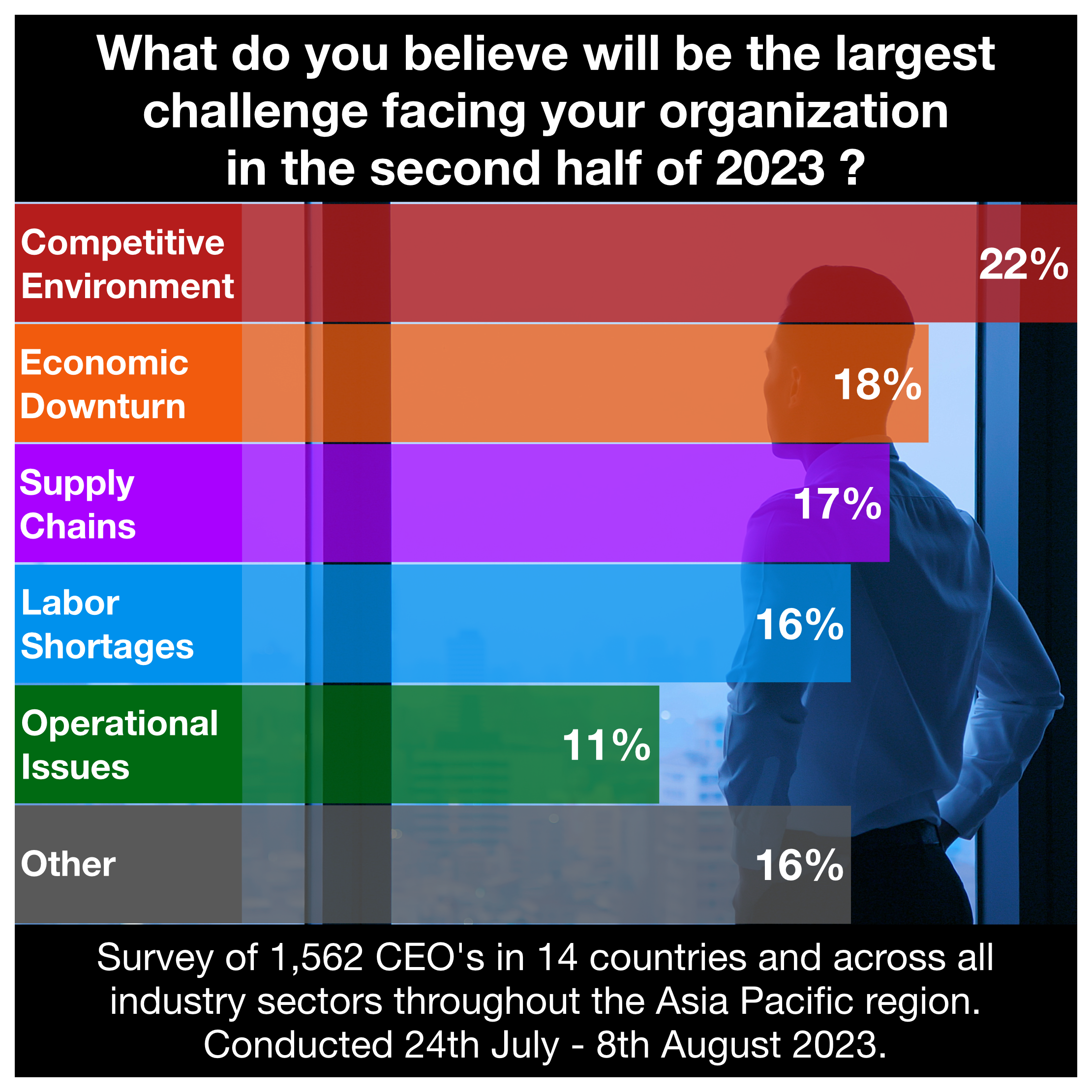 Asia Pacific Market Research CEO Survey.png