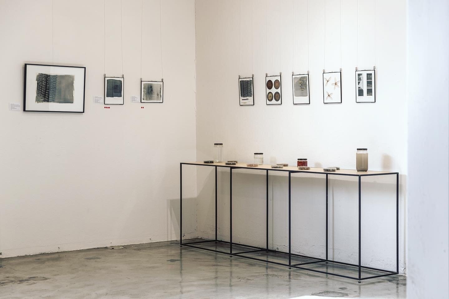  Install shot of liquid emulsion prints &amp; the process table/wall.  