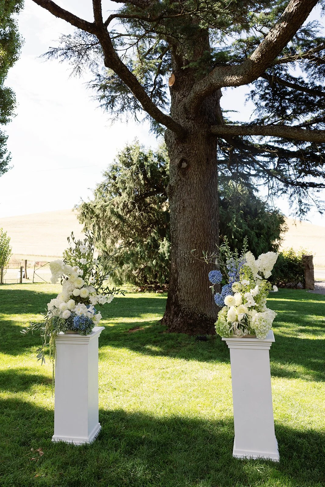 AbbeyLachlan_Ceremony_0005.jpg