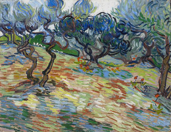 Olive Trees, Vincent van Gogh - 1889