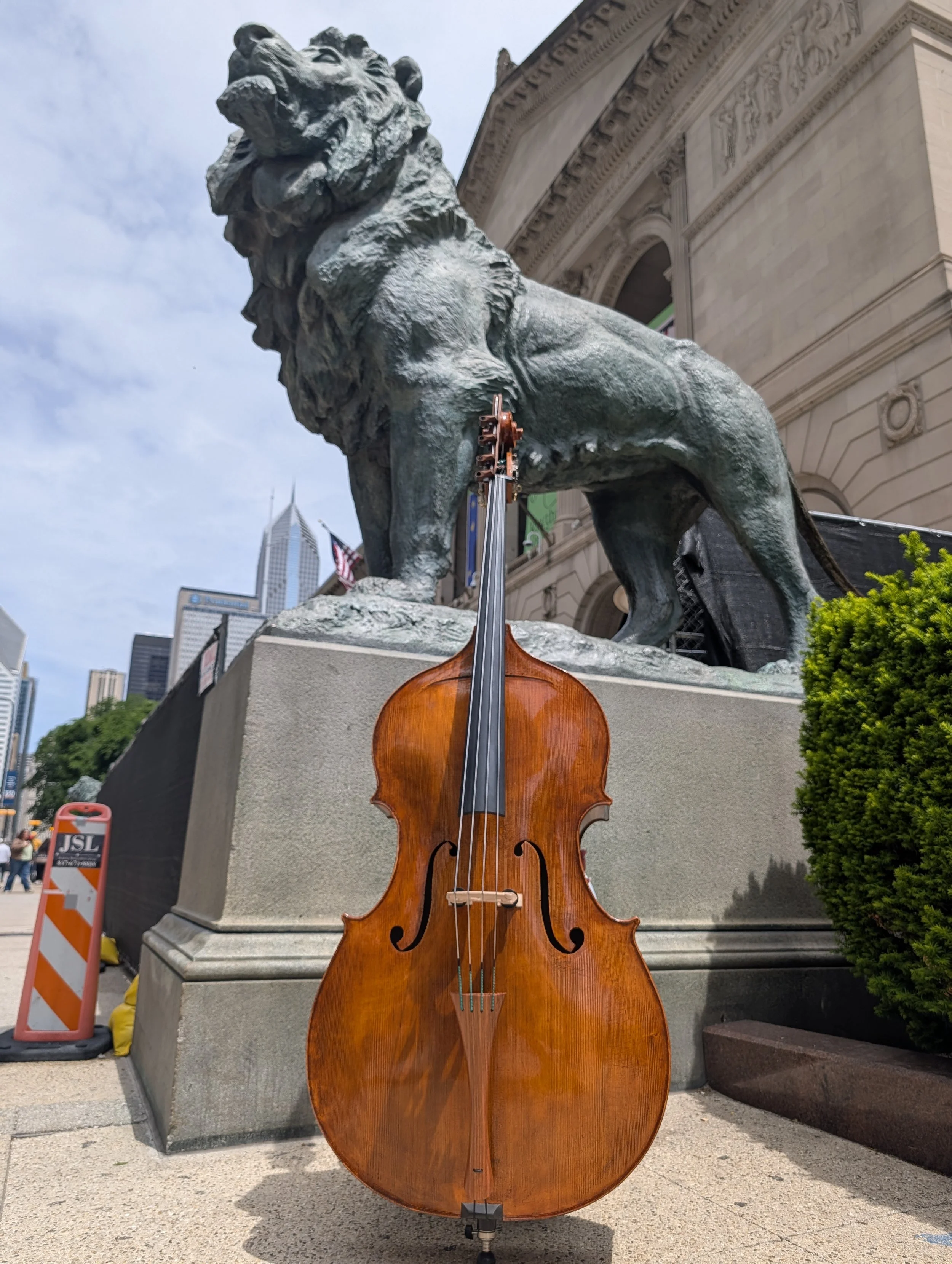 Double Bass in front of The Art Institute of Chicago