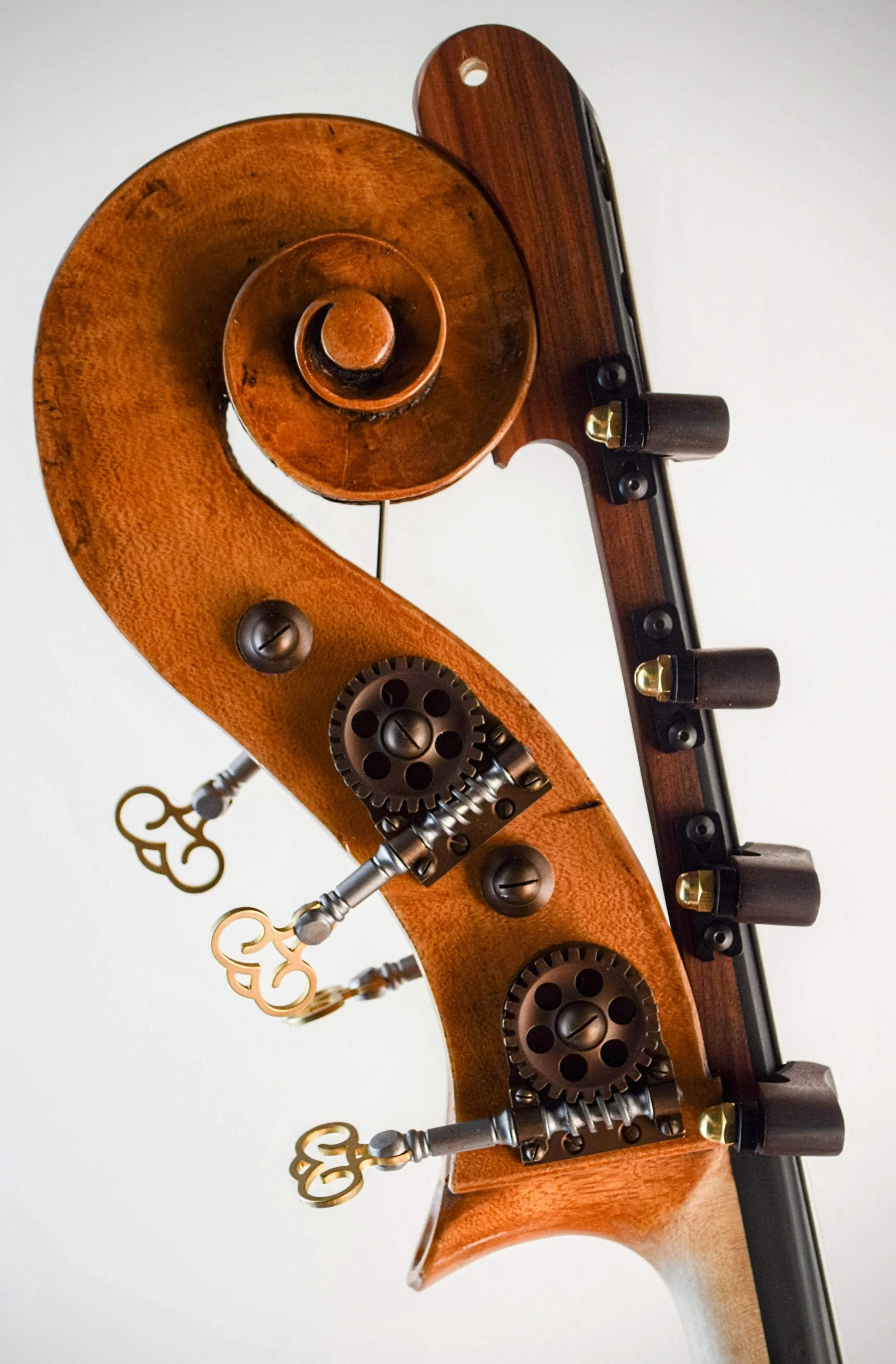 Scroll bass 14~2.jpg