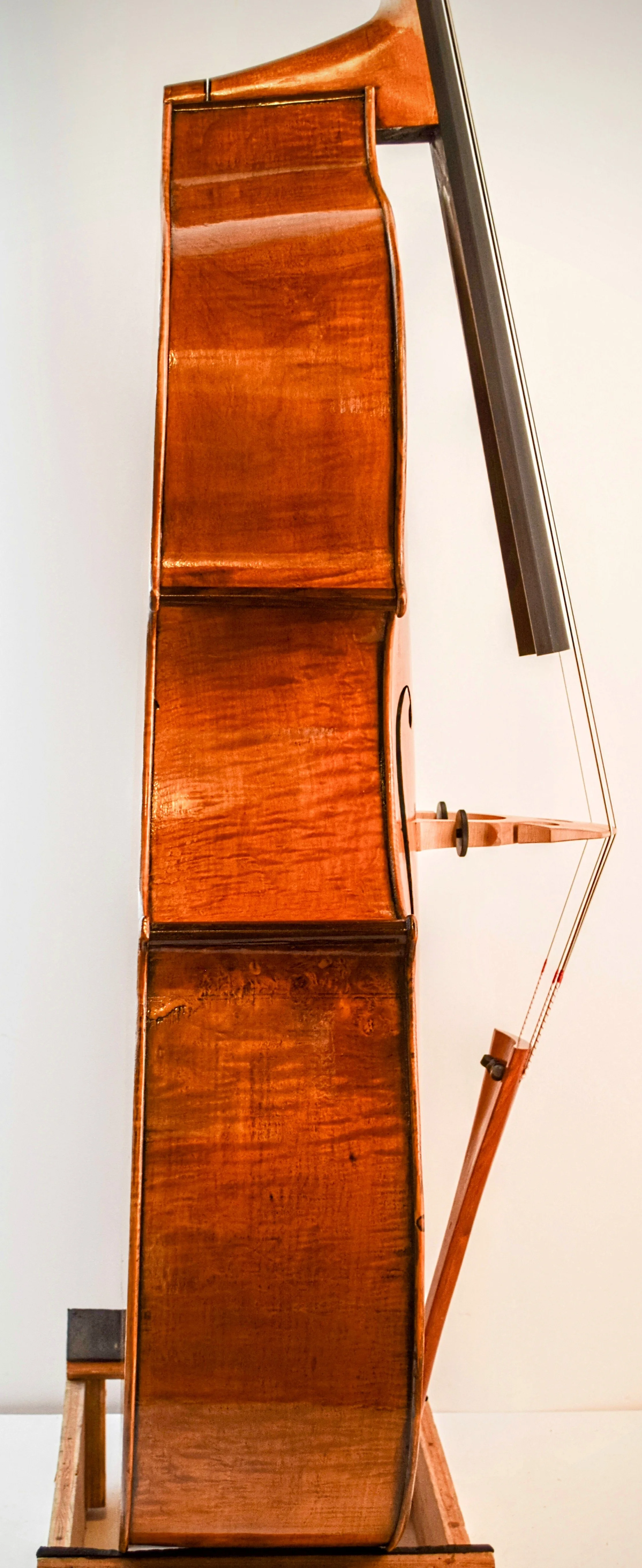 Ribs Bass 14~2.jpg