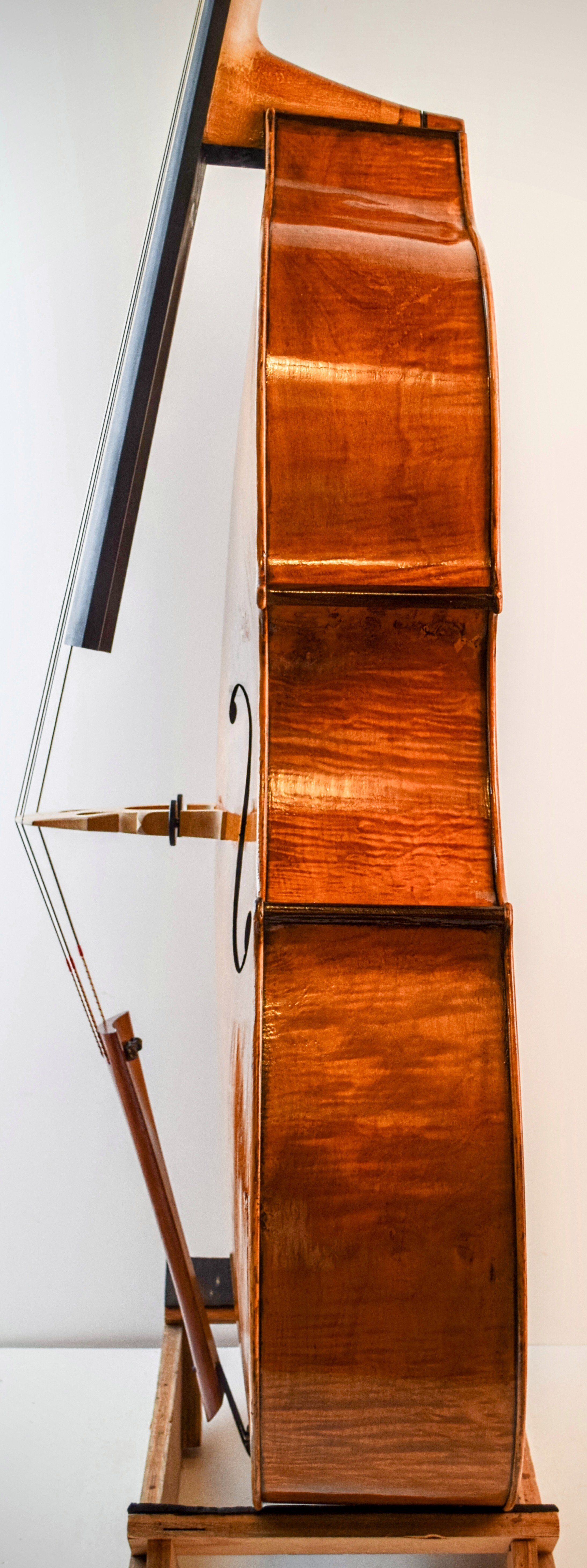 Ribs treble 14~2.jpg