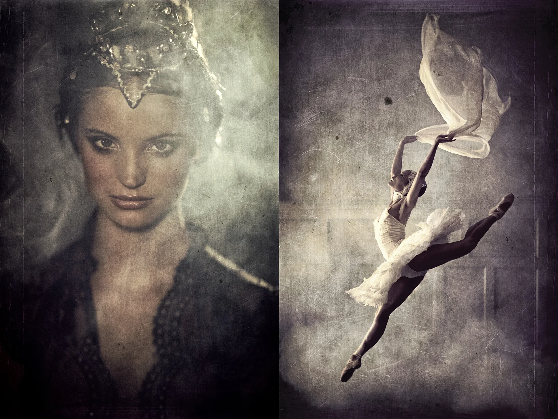 Black Swan_001.jpg