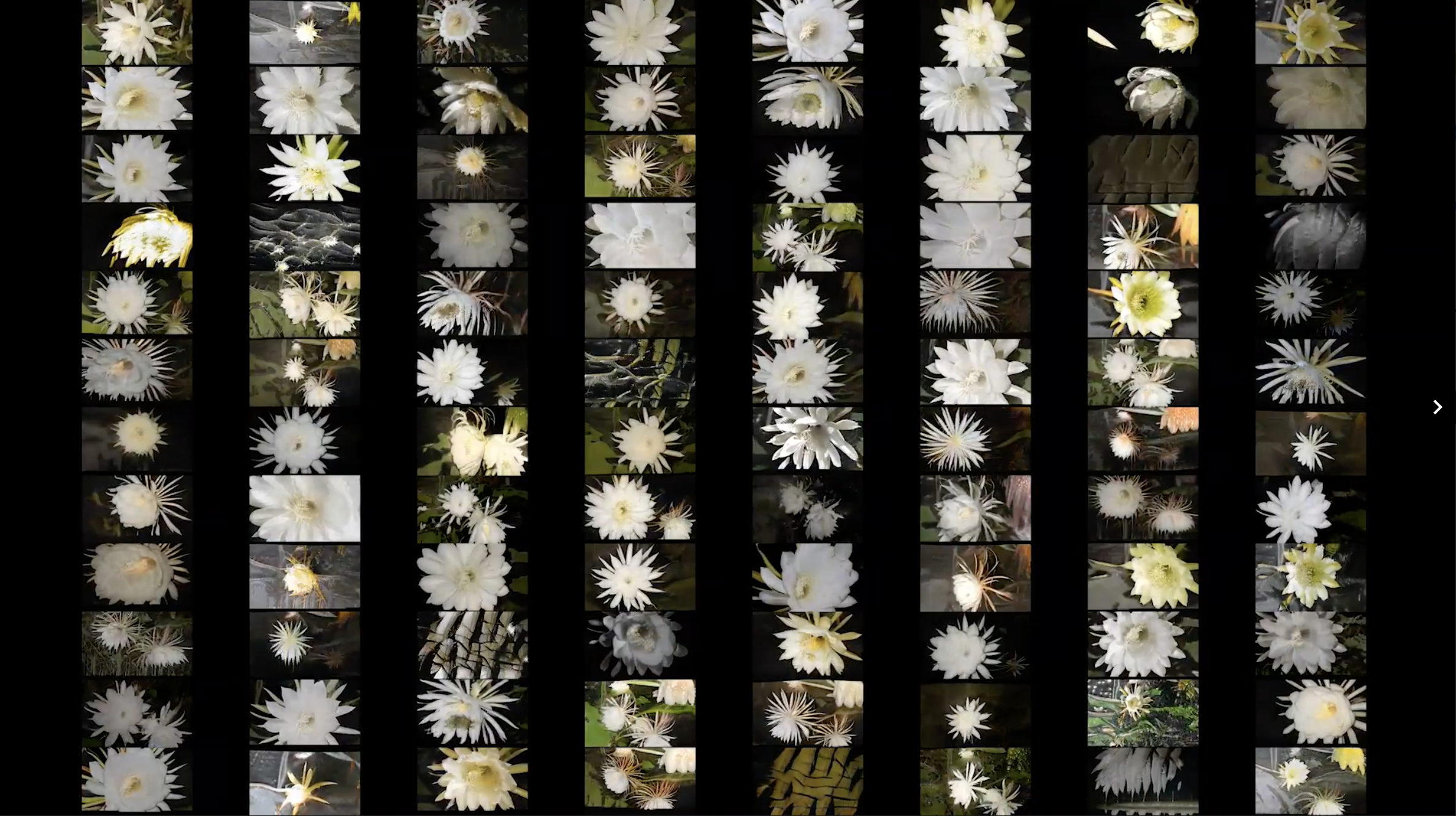Screenshot+2023-01-25+at+12.15.34.png