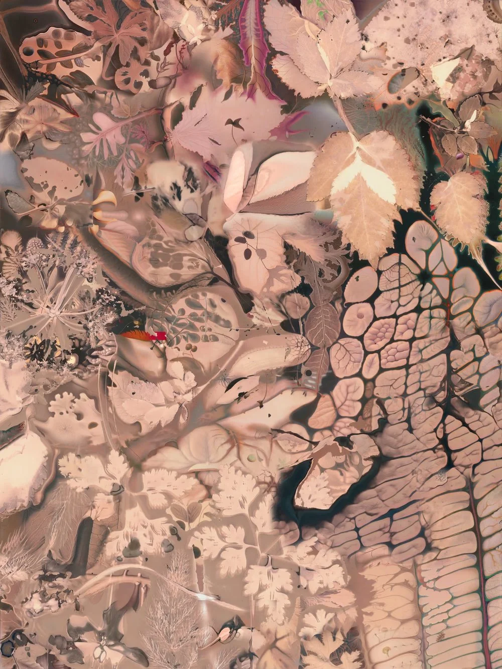 f694a486e1d938fd16e8305fee5c96de copy.jpg