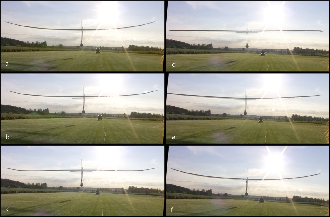 Wing motion during flight at various fractions of one stroke (0, 0.17, 0.41, 0.59, 0.71, 1).