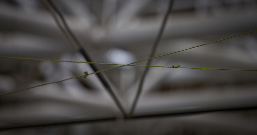 Cross-bracing lines connect truss arms to increase torsional stiffness. This design featured was missed when we did our background research, and it wasn't until we had implemented it ourselves that we found out Gamera and Yuri had done the same. An interesting example of convergent designs even though much of the structure is quite different.
