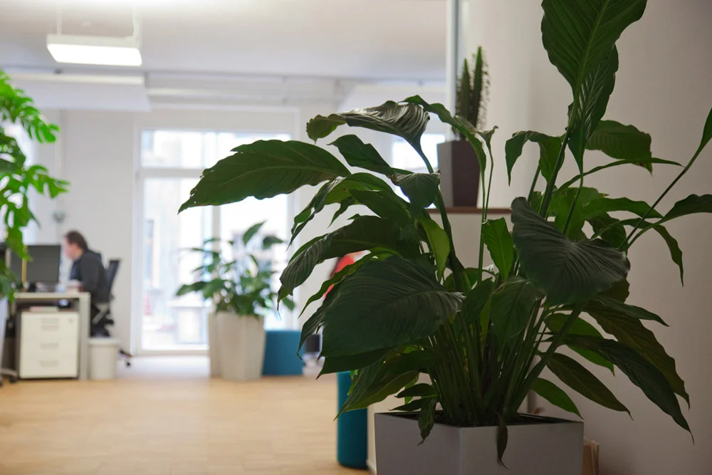 Innenraum_09_BLUMENWERKSTATT.jpg