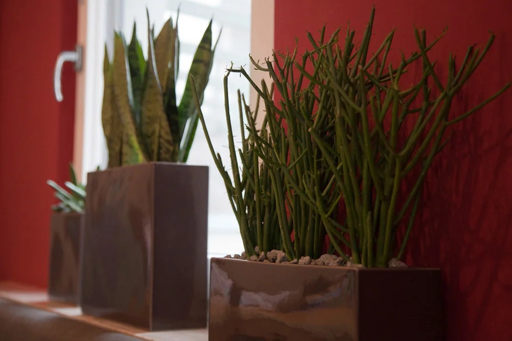 Innenraum_15_BLUMENWERKSTATT.jpg
