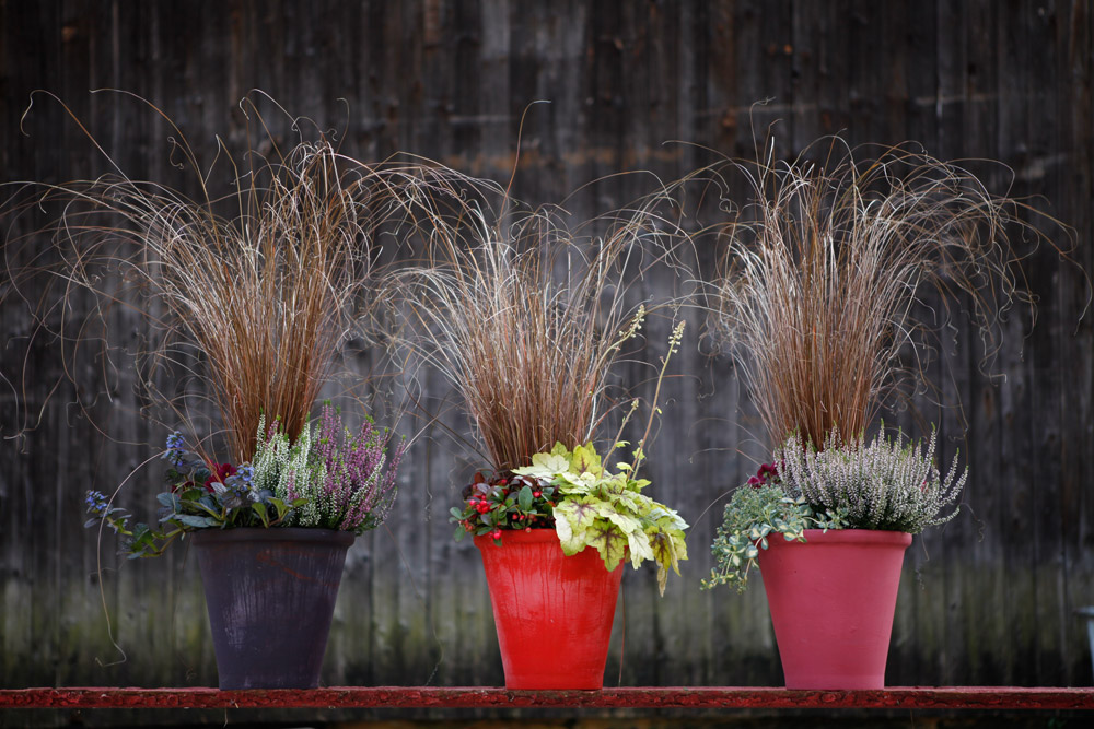 Gestecke_26_BLUMENWERKSTATT.jpg