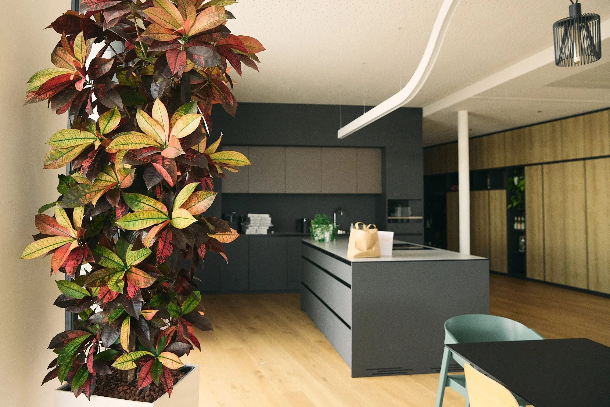low-res_blumenwerkstatt__S0A0588.jpg