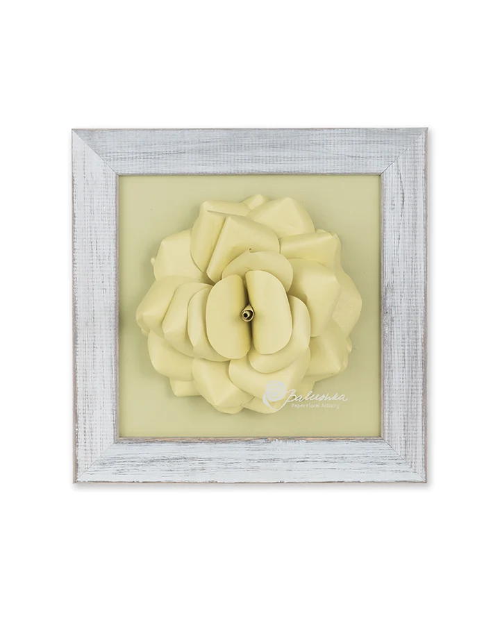 Framed camellia