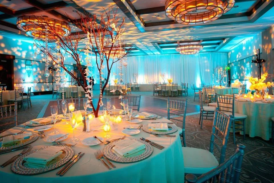 DJ BACKSPIN WEDDING LIGHTS.jpeg