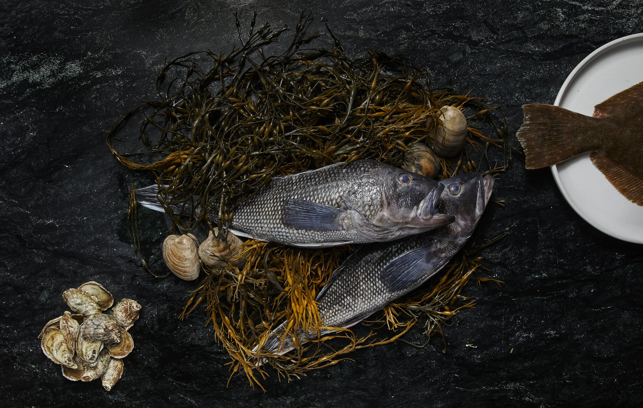 Kensington Quarters_000010.jpg