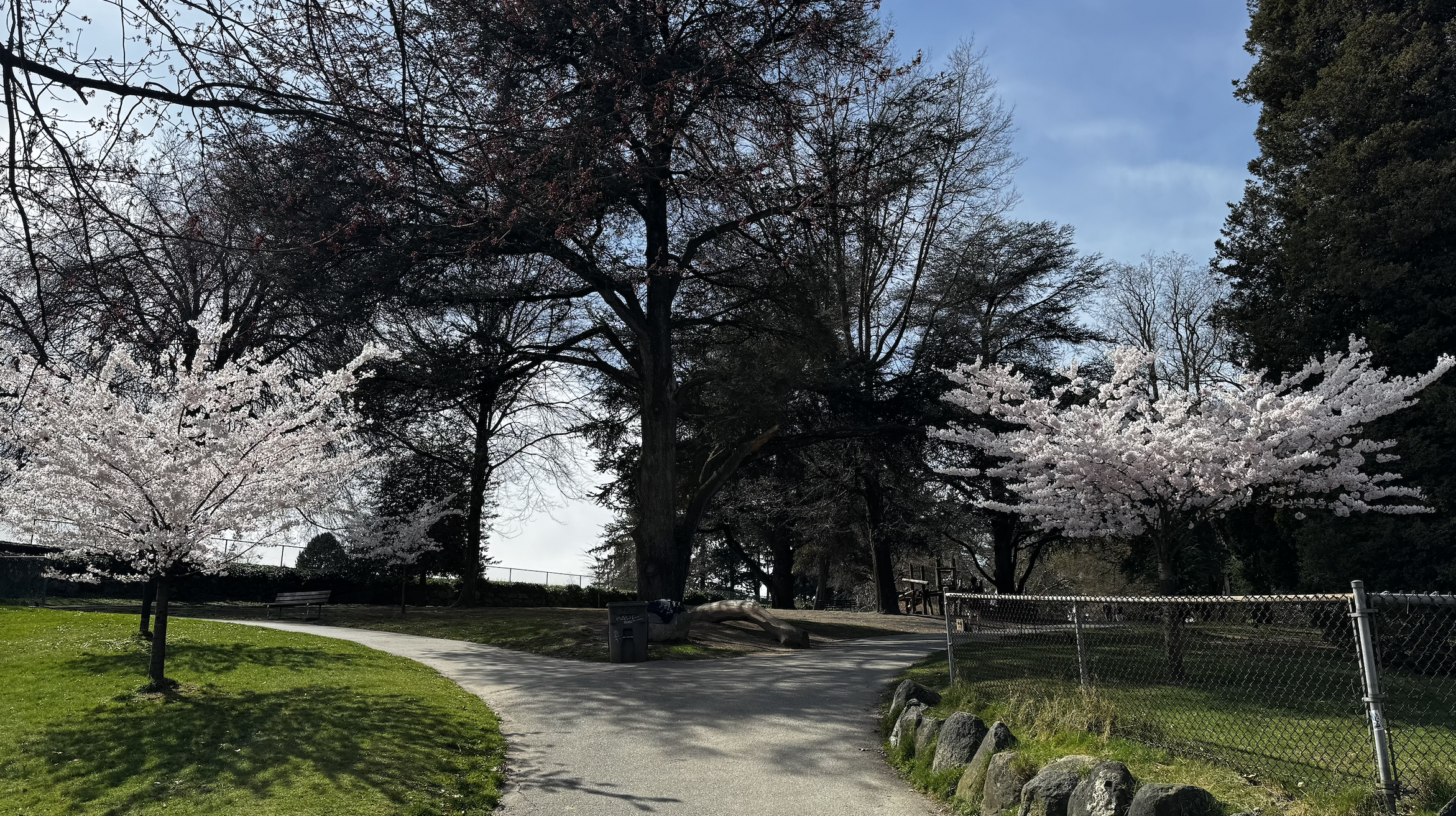 Screenshot 2026-04-01 at 10.44.50 AM.png