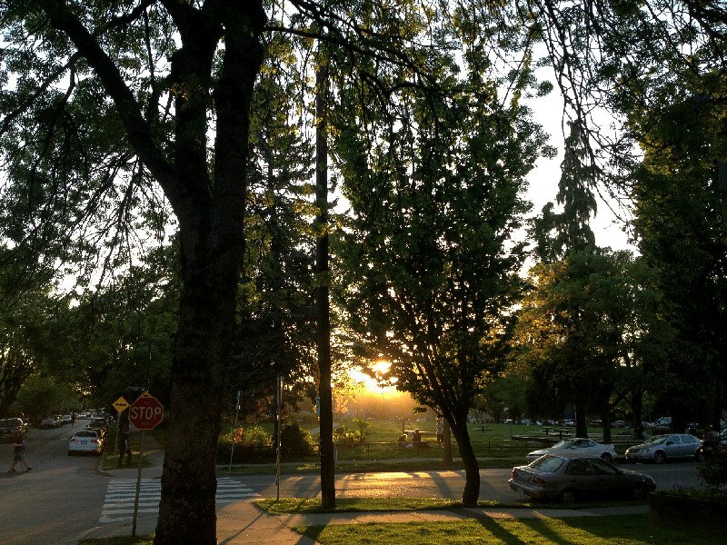Vancouver_park.jpg